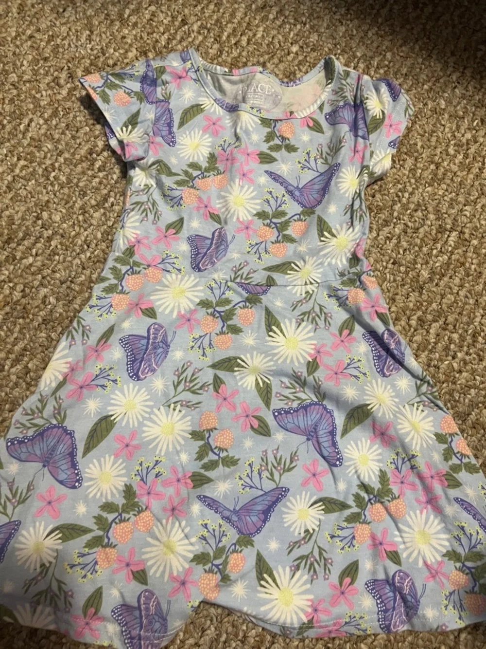 The Children's Place Light Blue Butterfly & Floral Casual Dress - Picture 1 of 2